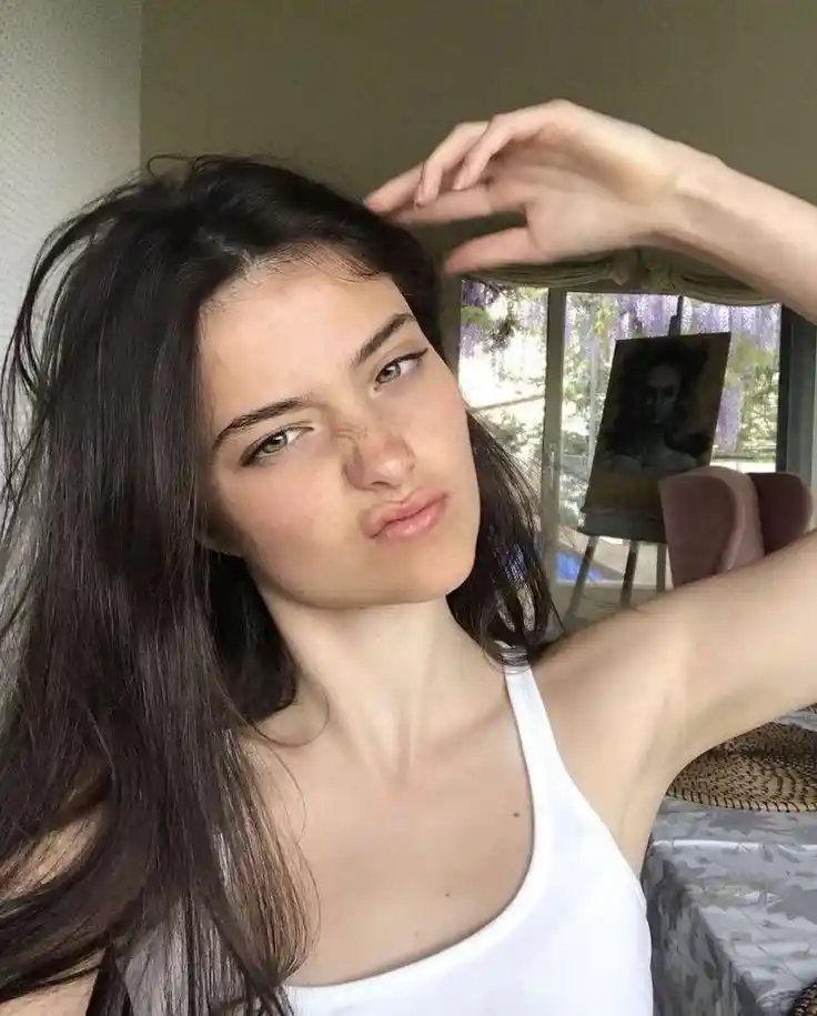 attitude status in punjabi for instagram bio