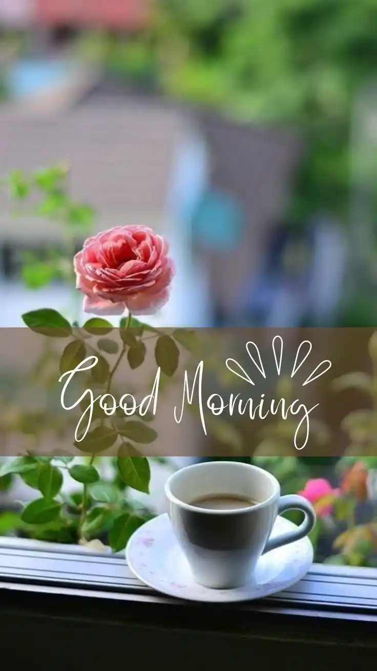 amazing good morning quotes images hd