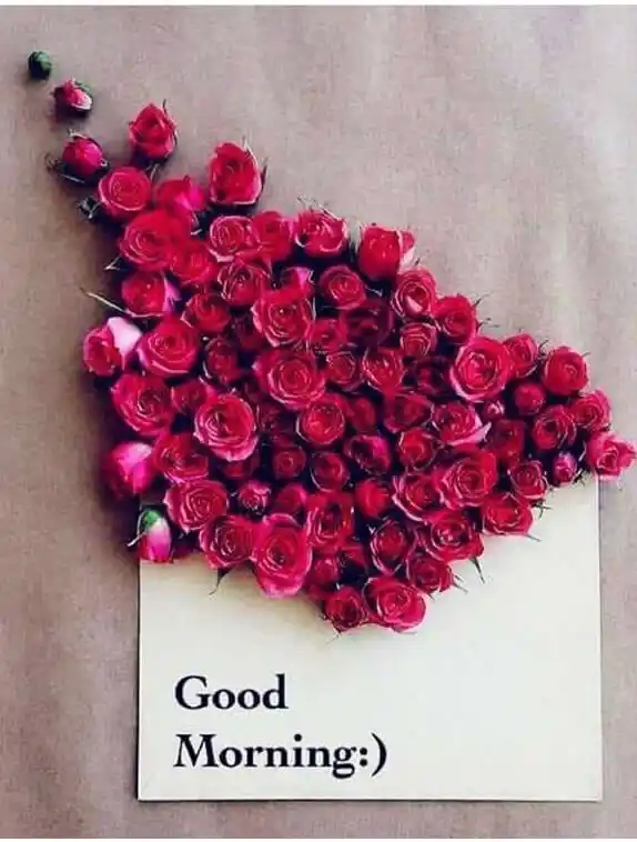 beautiful good morning photos