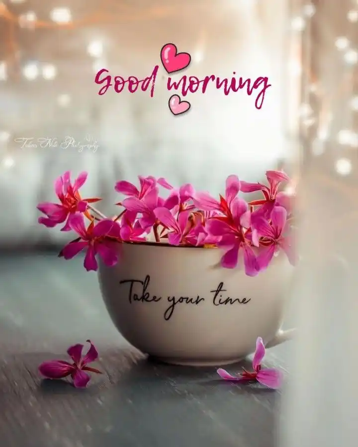 dol purnima good morning pic