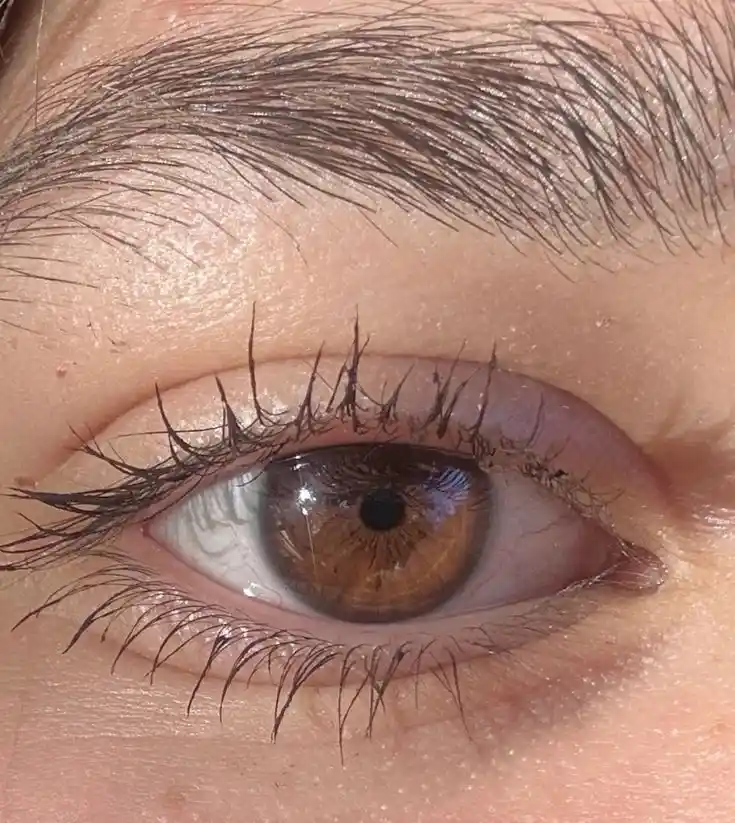 girl eyes pic dp aesthetic