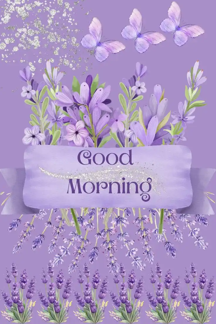 good morning images and quotes funny