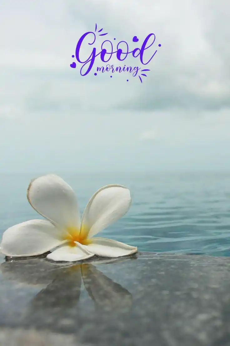 good morning images beautiful