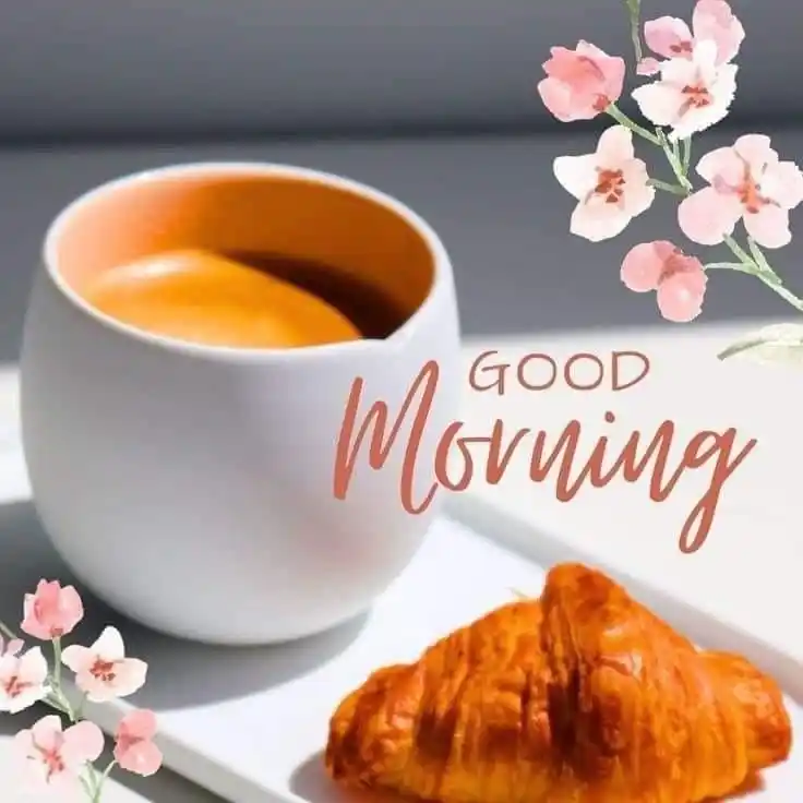 good morning images bengali