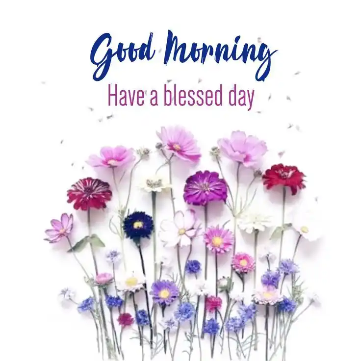 good morning new week images and quotes