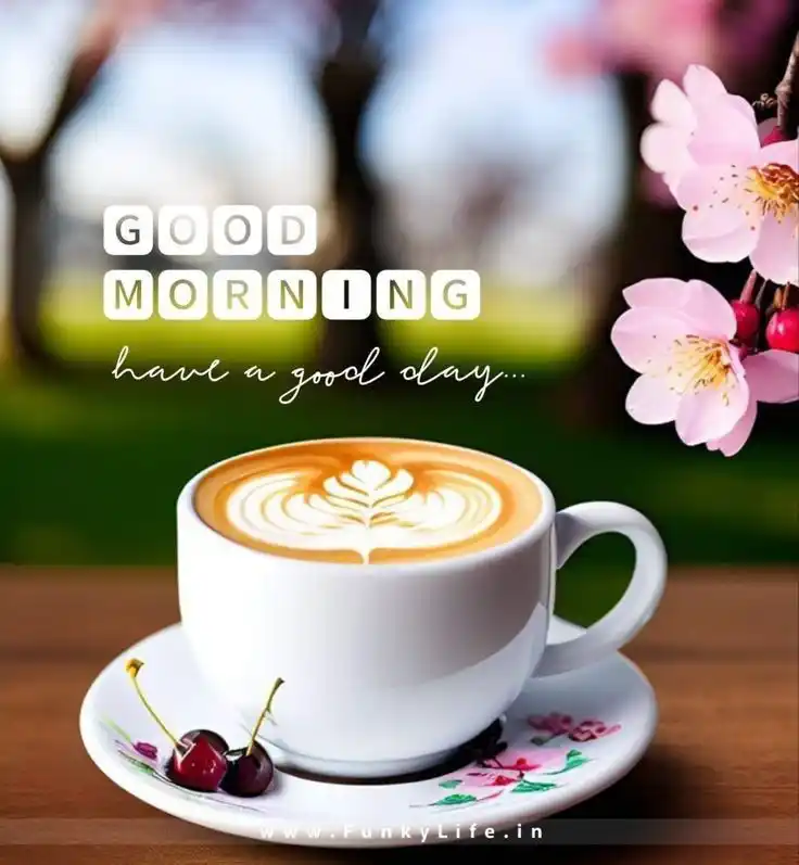 good morning pic everyone