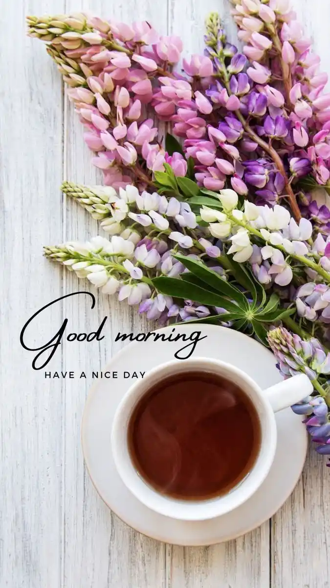 good morning pictures arabic