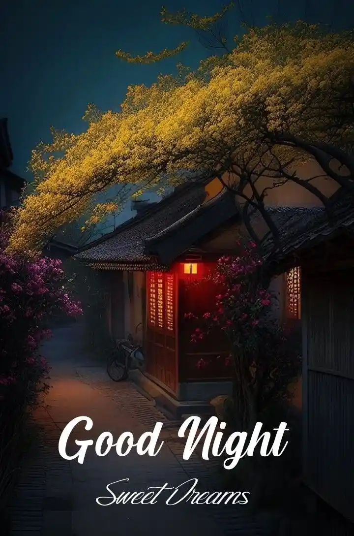 good night photo bangla