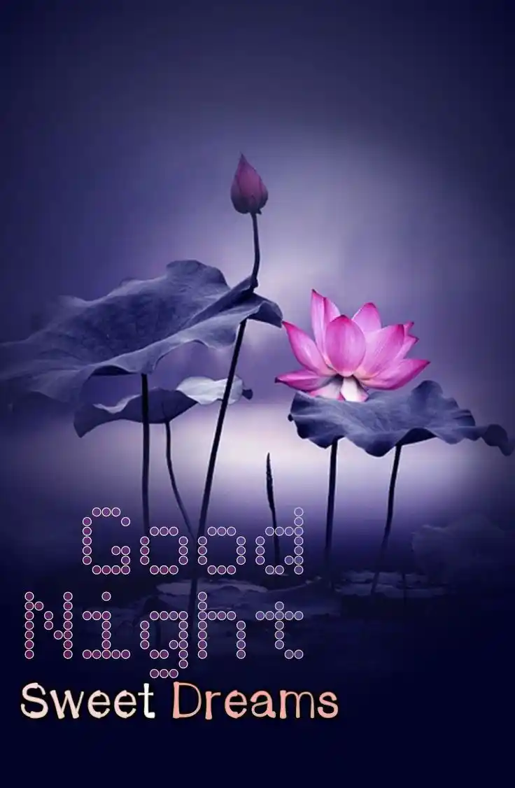 good night pic couple